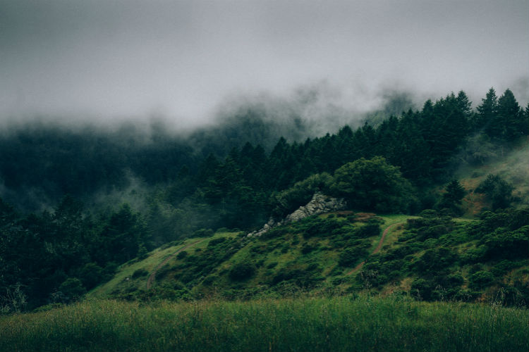 免费ddos压力测试平台
